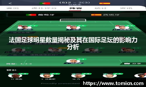 法国足球明星数量揭秘及其在国际足坛的影响力分析